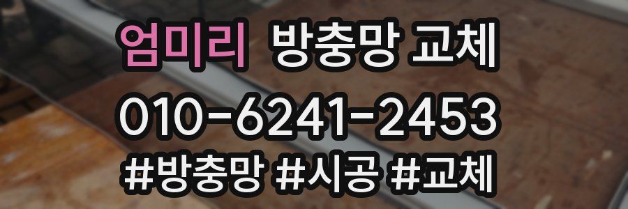 엄미리 방충망 교체