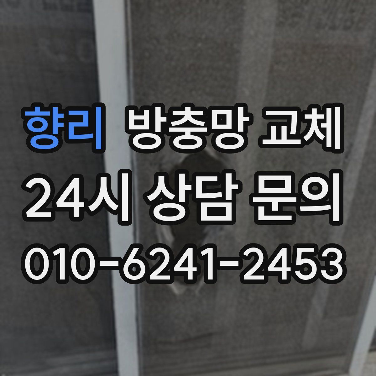 향리 방충망 교체