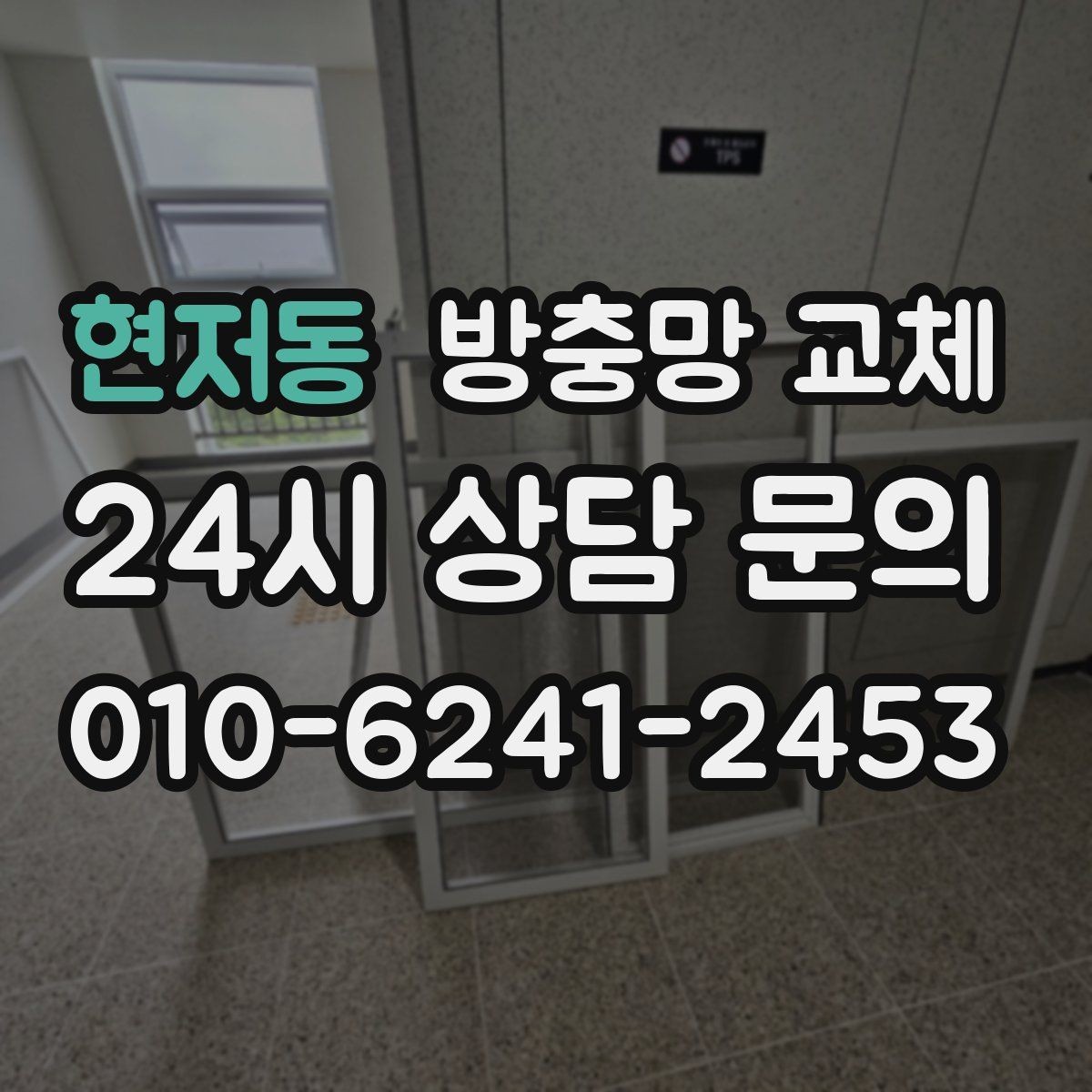 현저동 방충망 교체 모서리 틈으로 초파리가 들어온다면