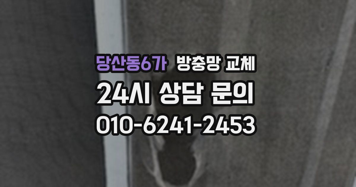 당산동6가 방충망 교체