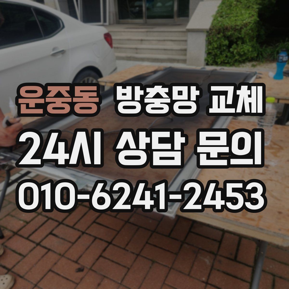 운중동 방충망 교체 초파리가 창가에 모이는 집은 이렇게