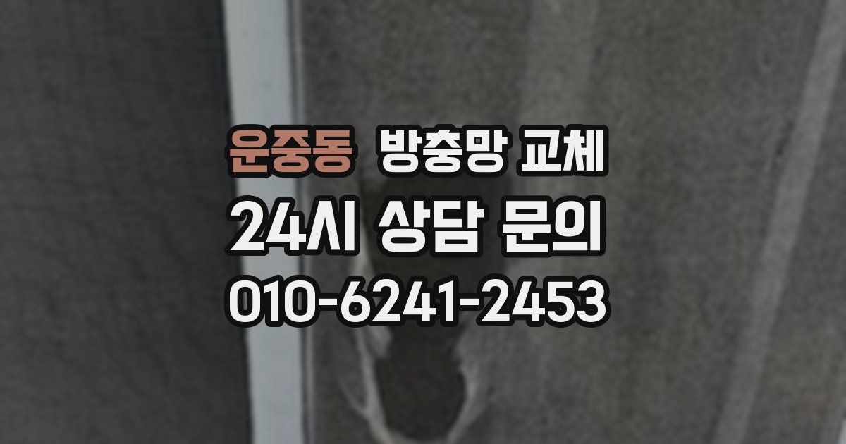 운중동 방충망 교체