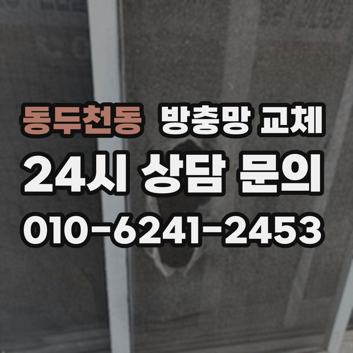 동두천동 방충망 교체 모기 시즌 전에 준비해야 하는 이유