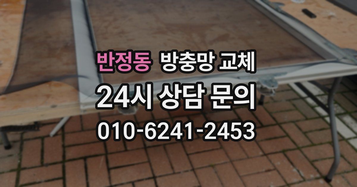 반정동 방충망 교체