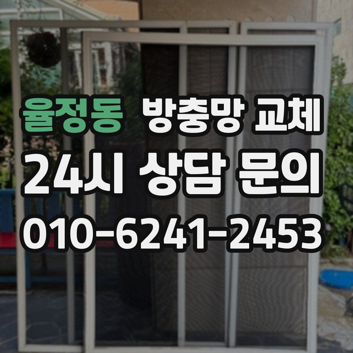 율정동 방충망 교체 주방 음식 냄새 때문에 초파리가 늘었다면
