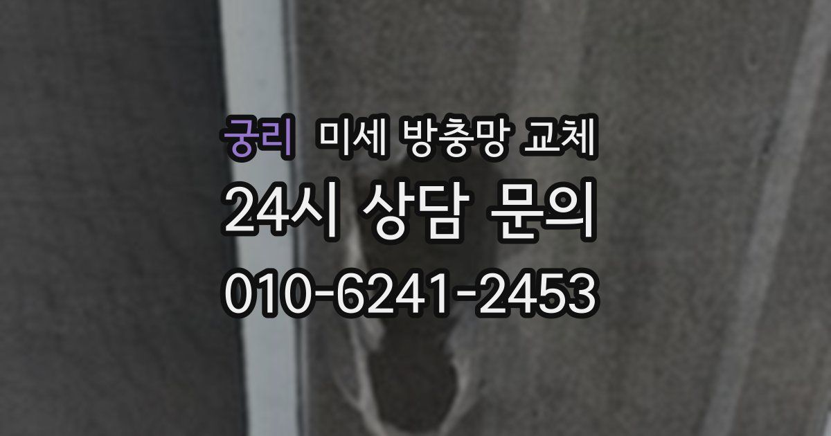 궁리 미세 방충망 교체
