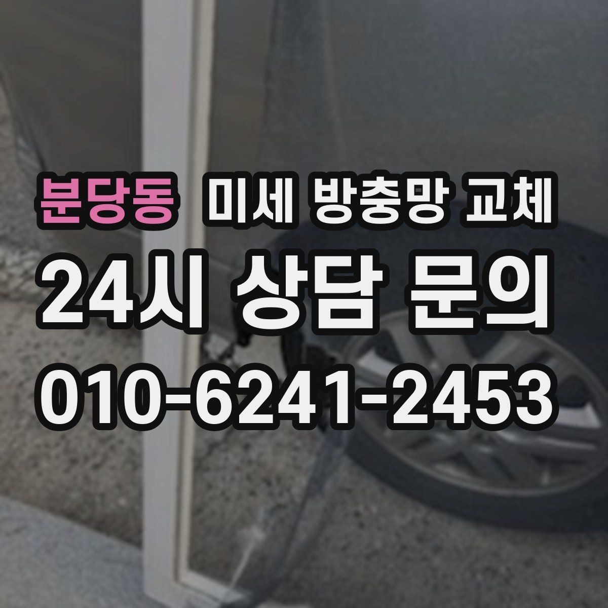 분당동 미세 방충망 교체 봄철 벌레 시즌 전에 미리 준비하기