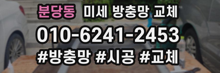 분당동 미세 방충망 교체