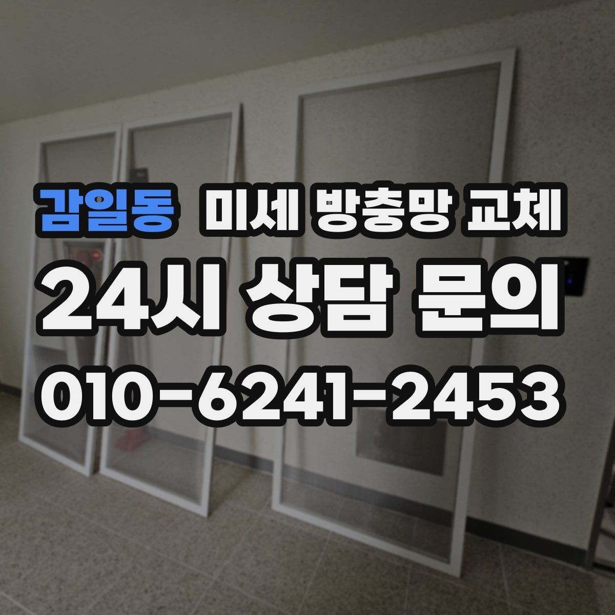 감일동 미세 방충망 교체 모헤어가 닳아 벌레가 들어오는 상황