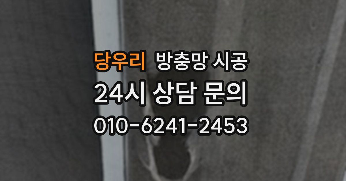 당우리 방충망 시공