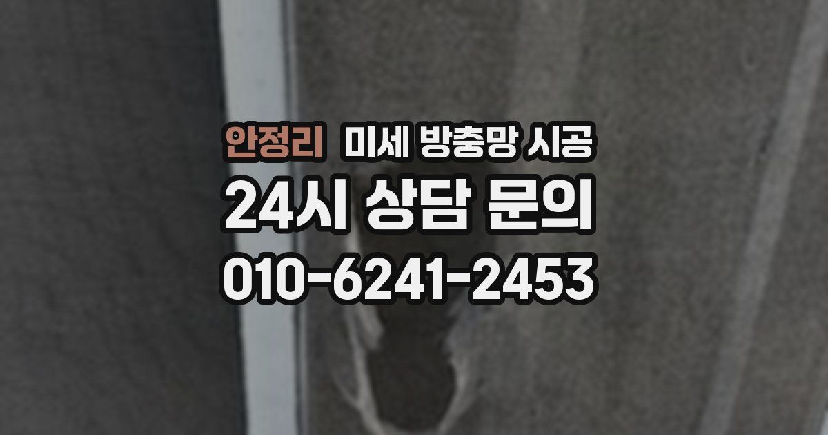 안정리 미세 방충망 시공