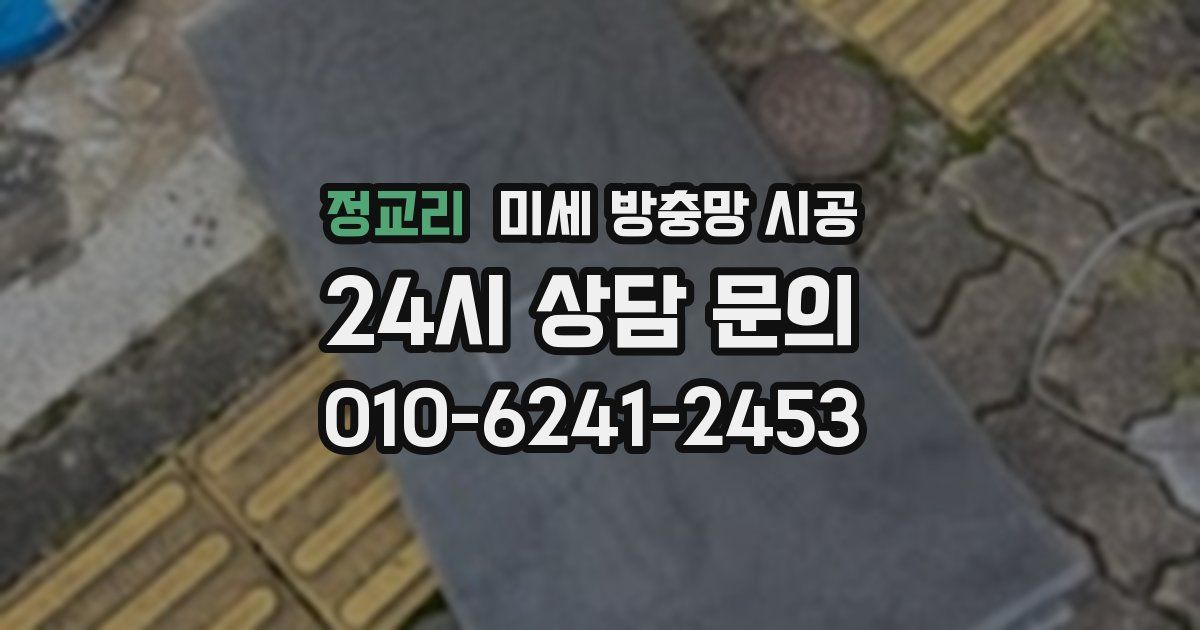 정교리 미세 방충망 시공