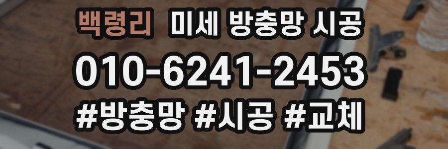 백령리 미세 방충망 시공