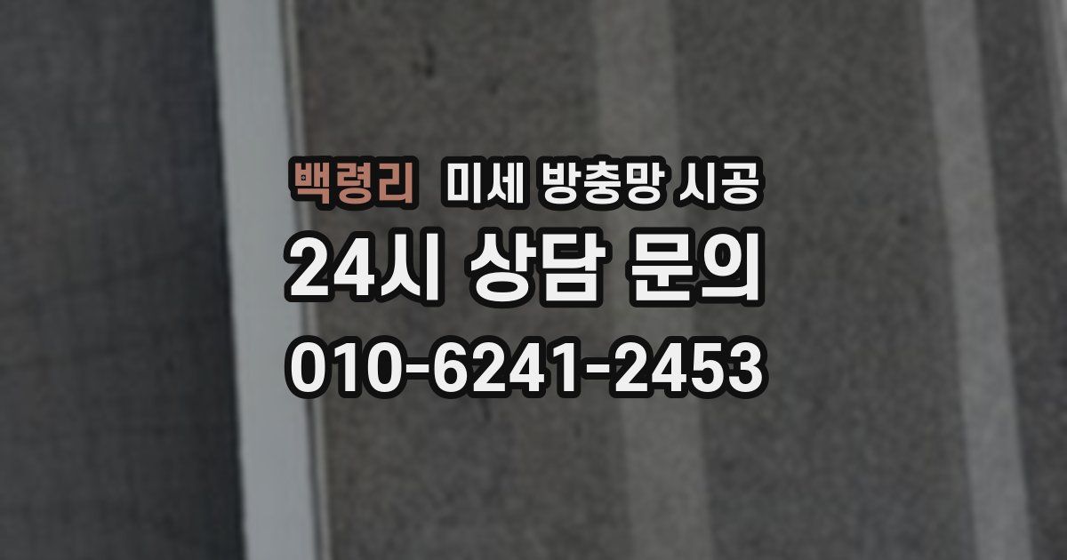 백령리 미세 방충망 시공