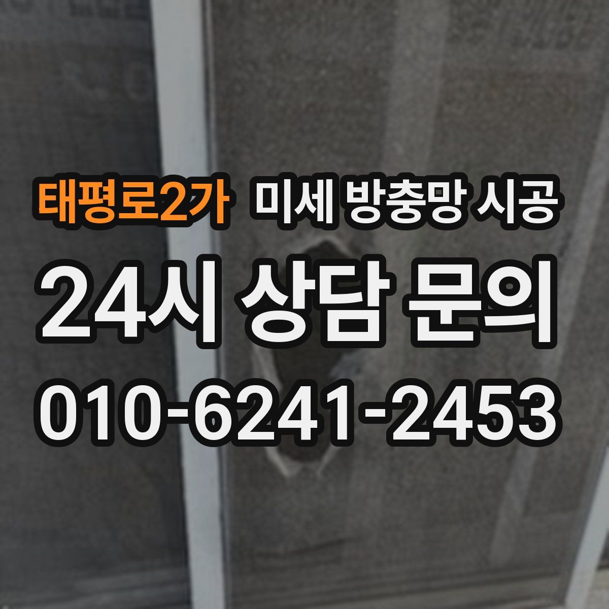 태평로2가 미세 방충망 시공