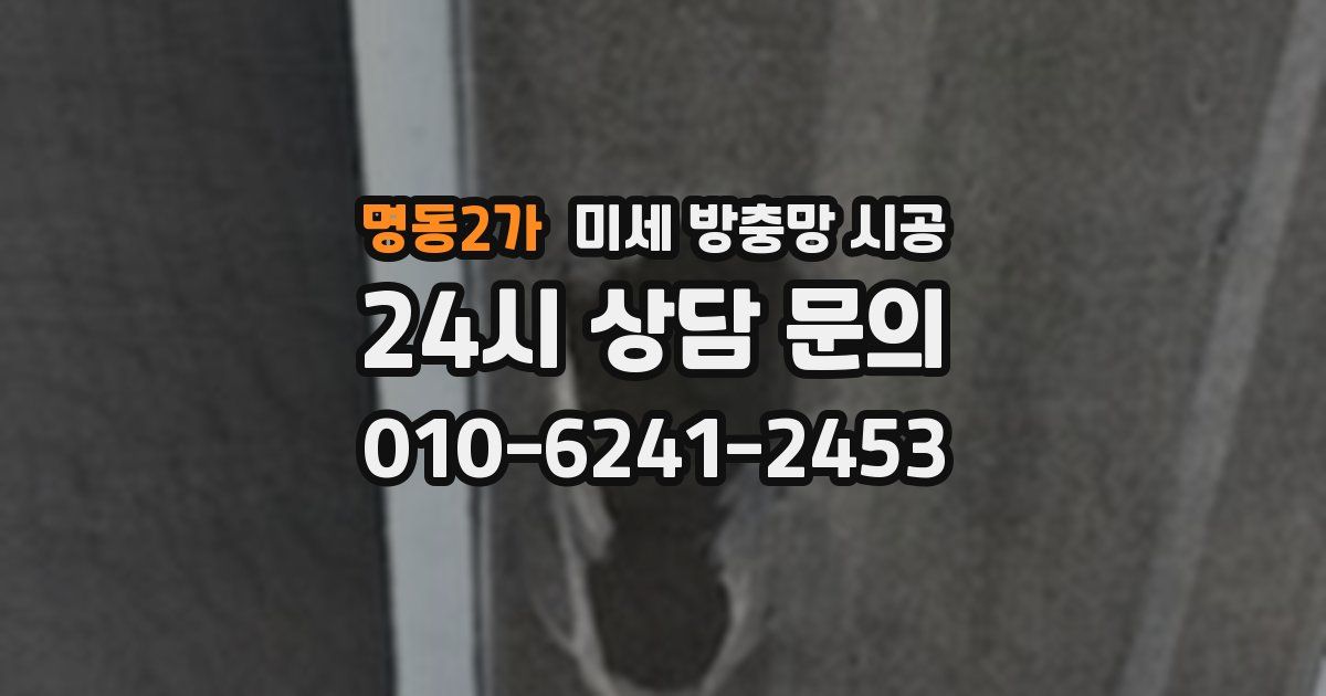 명동2가 미세 방충망 시공