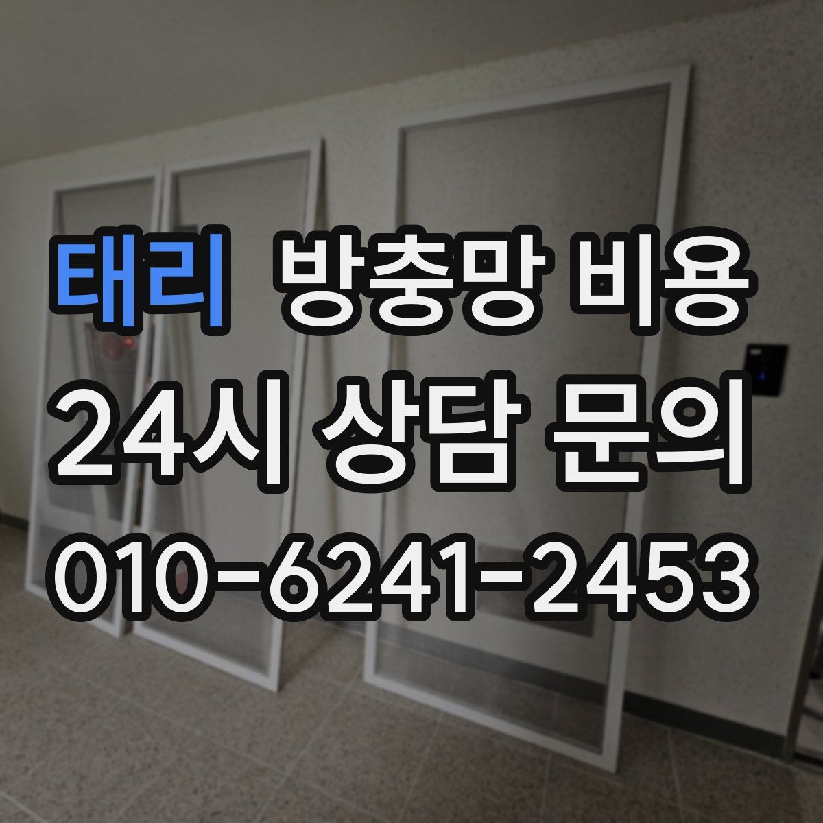 태리 방충망 비용