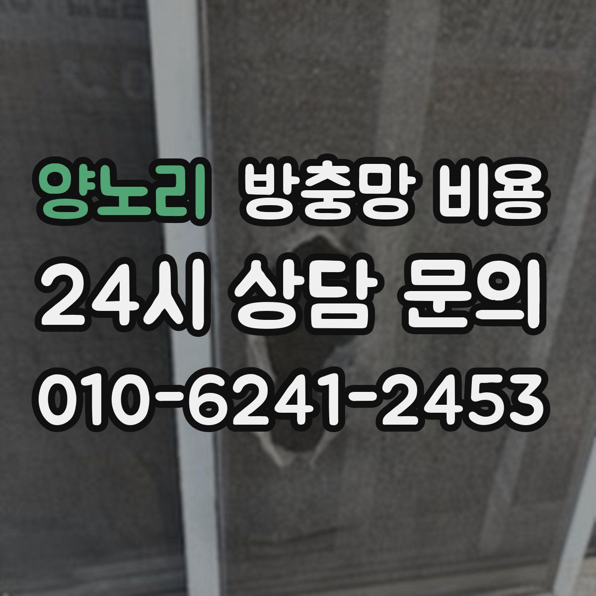 양노리 방충망 비용