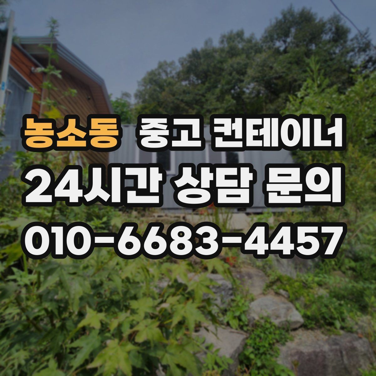농소동 중고 컨테이너 매입 자영업 매장 앞 동 정리 후 변화 살펴보기