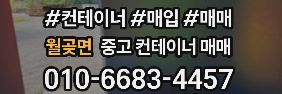 월곶면 중고 컨테이너 매매