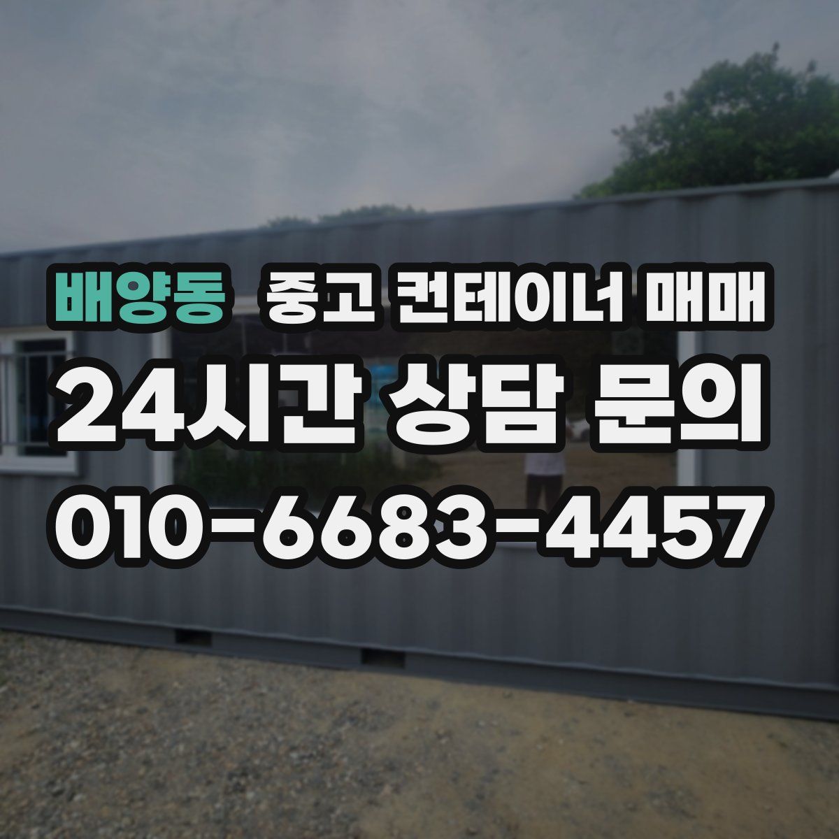 배양동 중고 컨테이너 매매