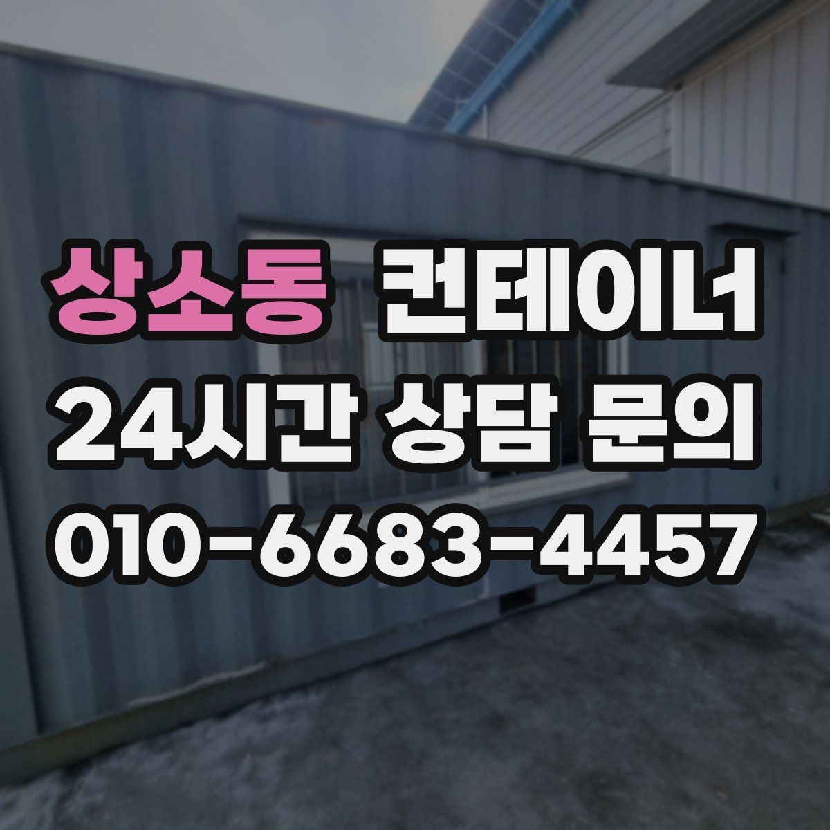 상소동 컨테이너 매입 저온저장고 옆 임시 창고 정리 노하우