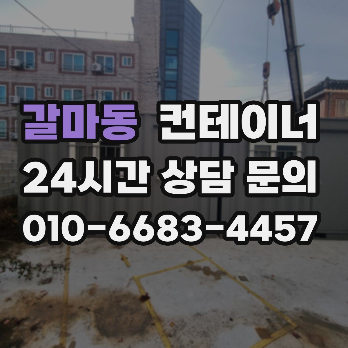 갈마동 컨테이너 매입 사무실 이전 전 컨테이너 비우기