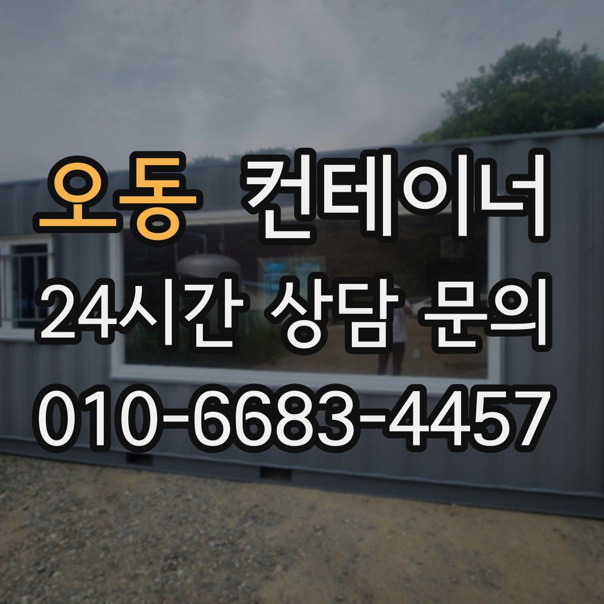 오동 컨테이너 매매