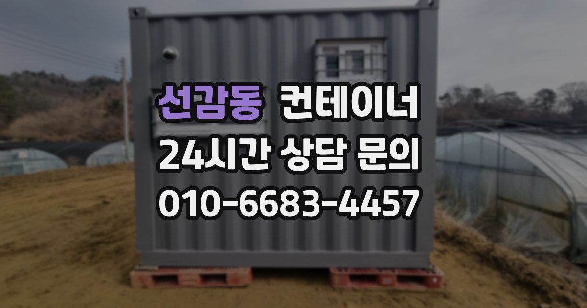 선감동 컨테이너 매매