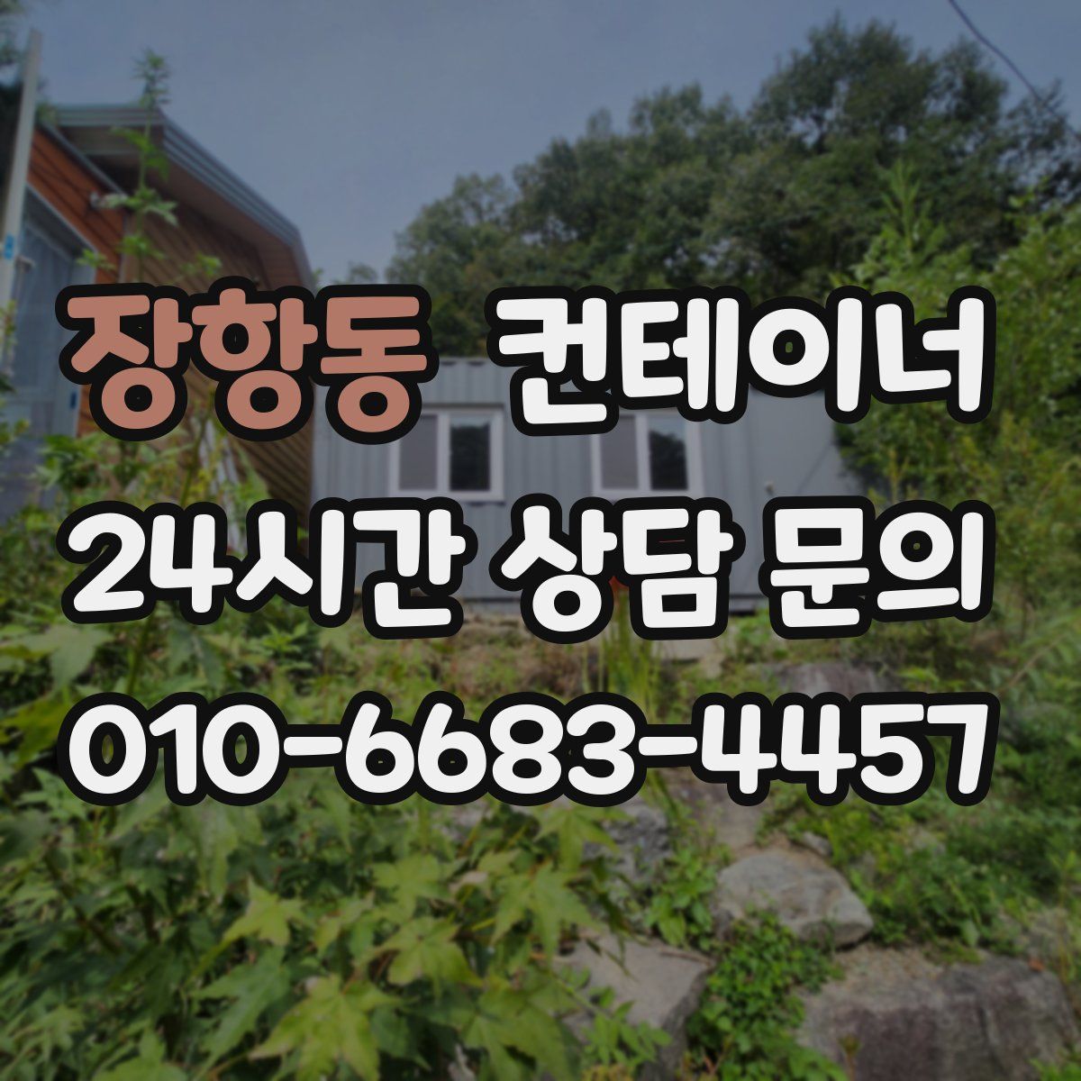 장항동 컨테이너 매매