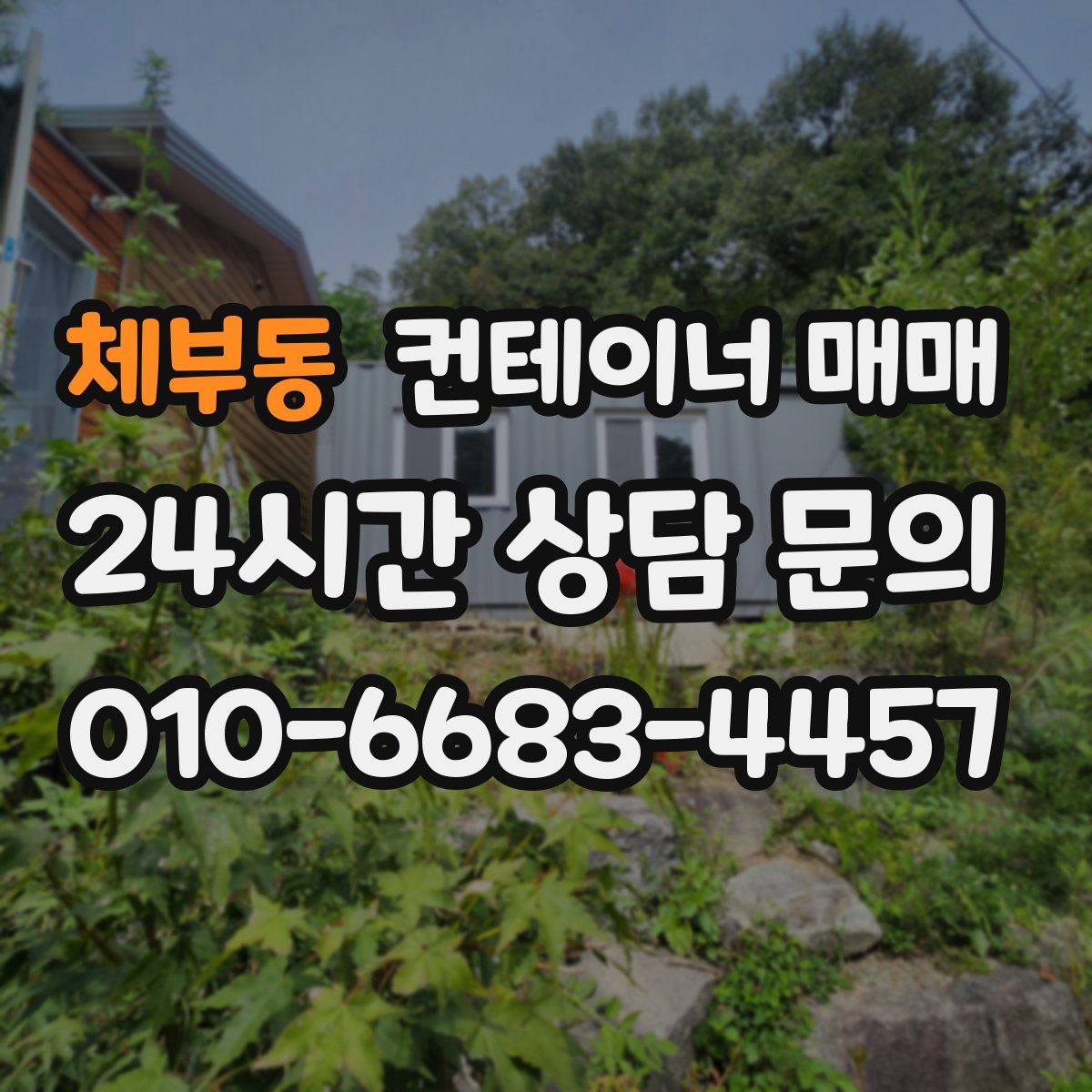 체부동 컨테이너 매매