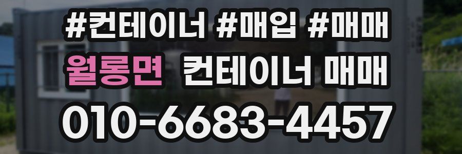 월롱면 컨테이너 매매