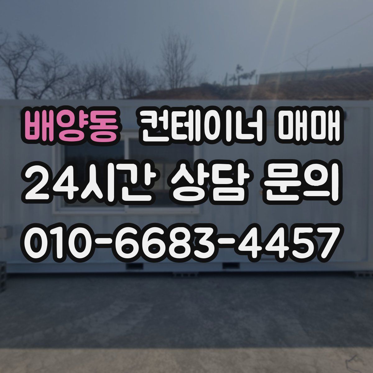 배양동 컨테이너 매매