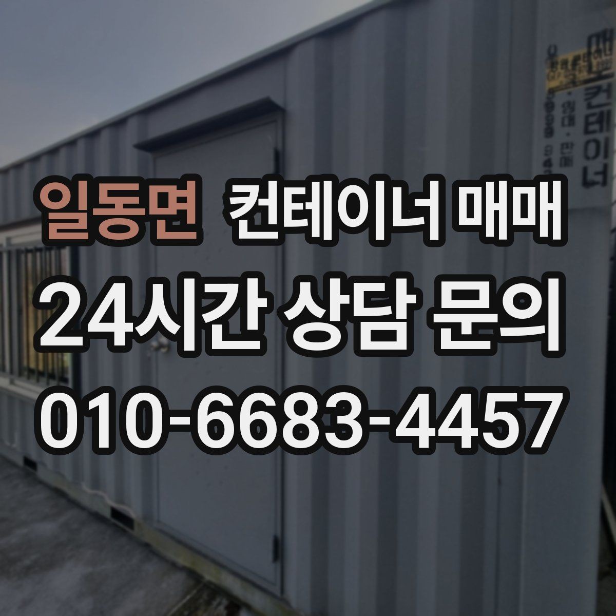 일동면 컨테이너 매매 냉동형과 특수형을 고를 때 비교할 점