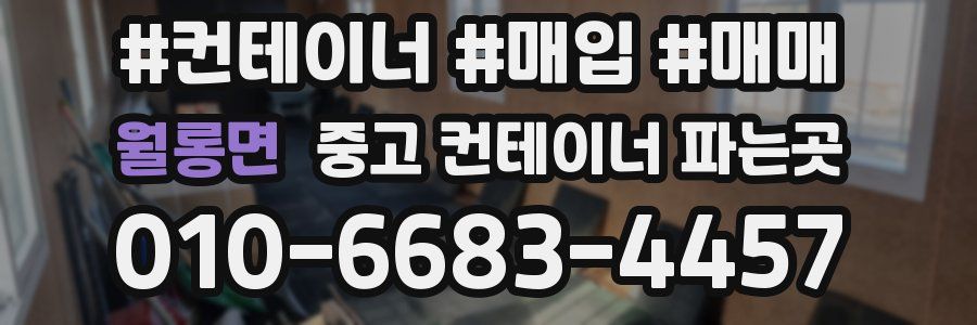 월롱면 중고 컨테이너 파는곳