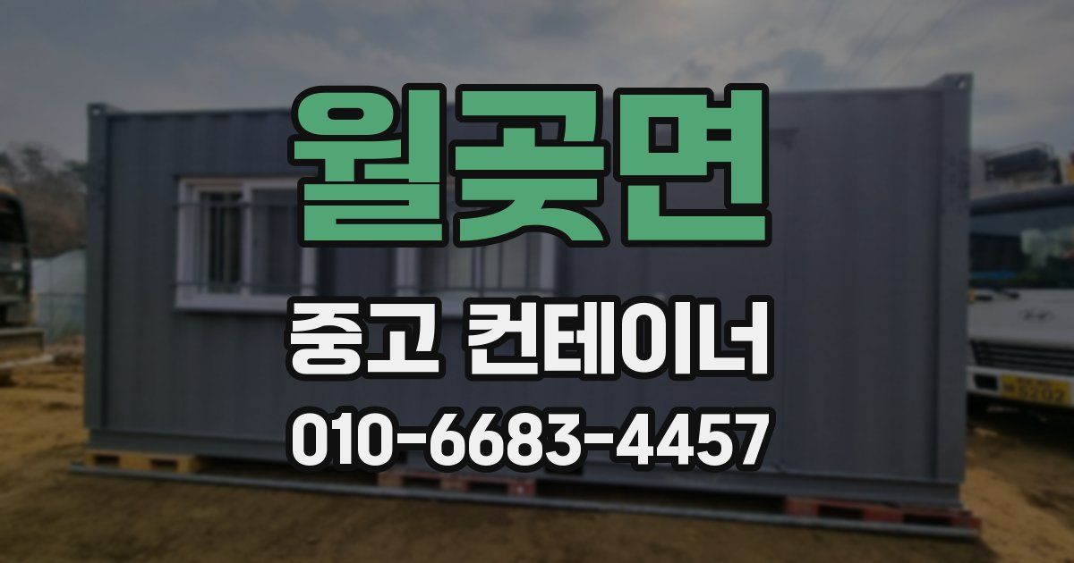 월곶면 중고 컨테이너 파는곳