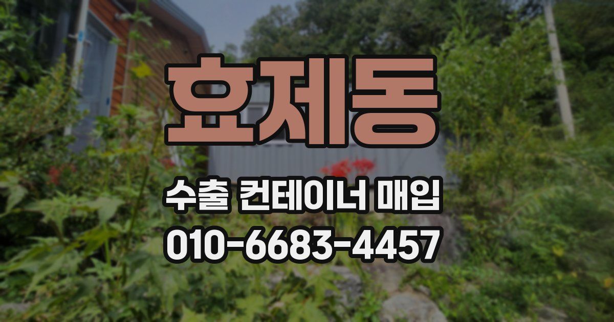 효제동 수출 컨테이너 매입