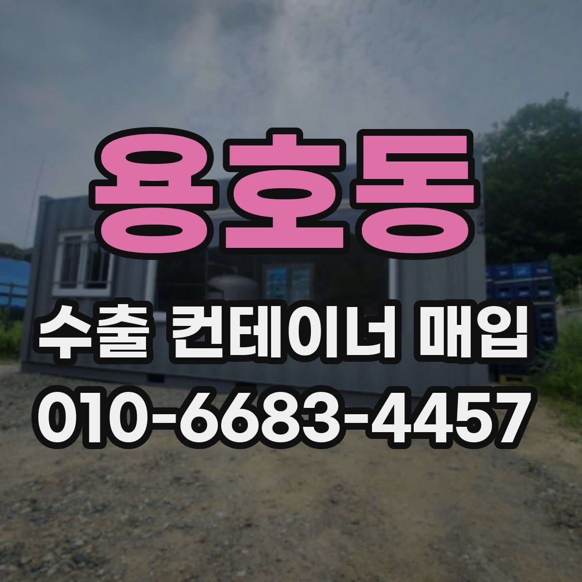 용호동 수출 컨테이너 매입