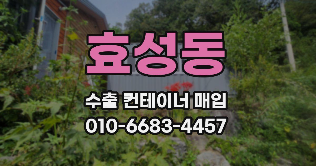 효성동 수출 컨테이너 매입