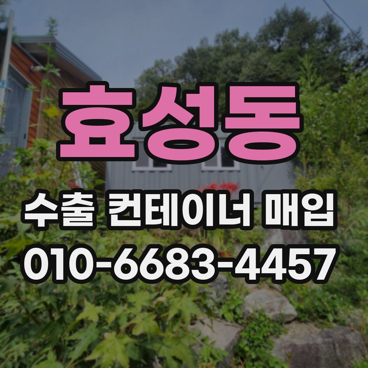 효성동 수출 컨테이너 매입