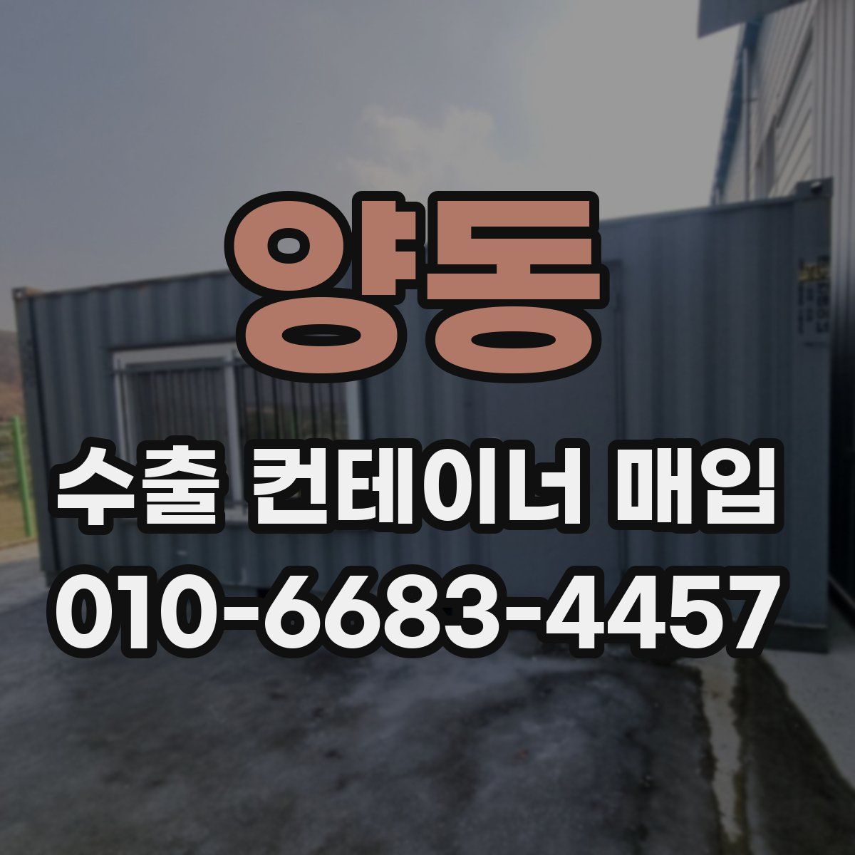 양동 수출 컨테이너 매입