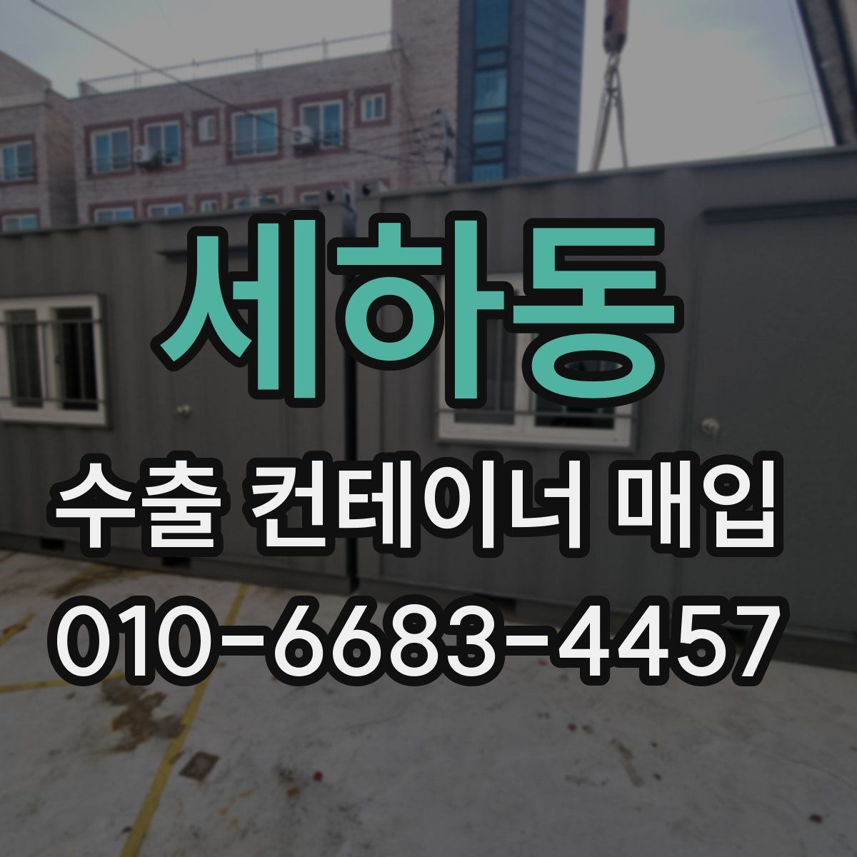 세하동 수출 컨테이너 매입