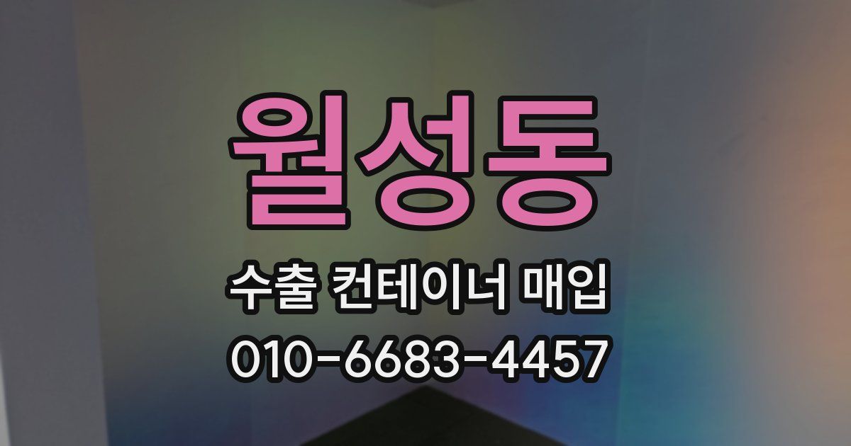 월성동 수출 컨테이너 매입