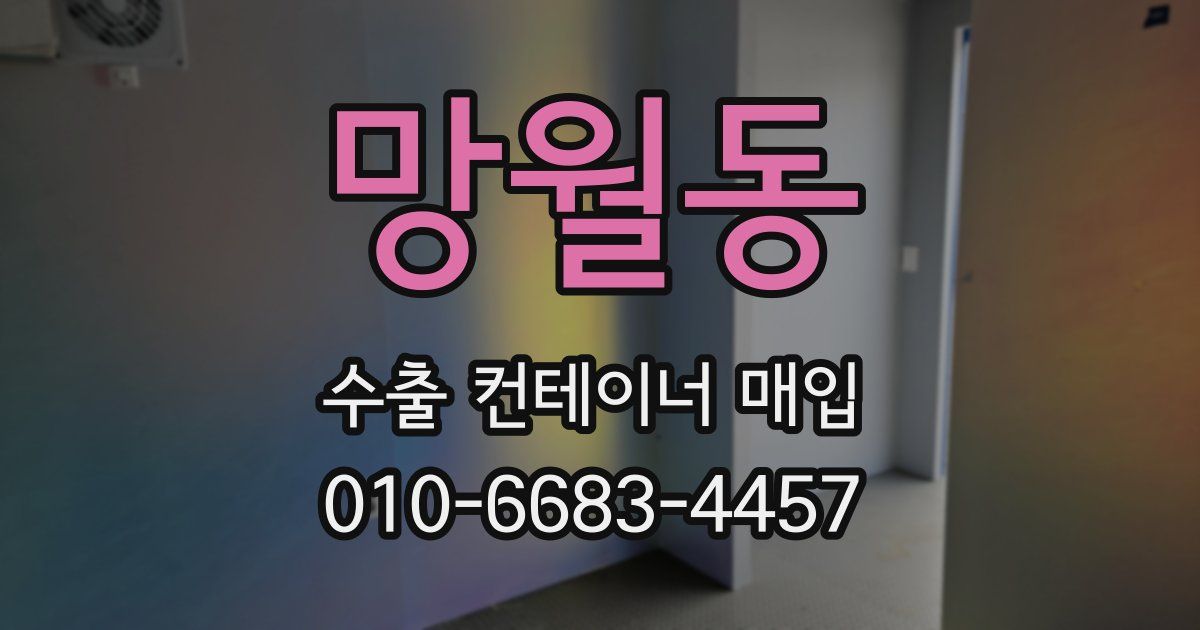 망월동 수출 컨테이너 매입