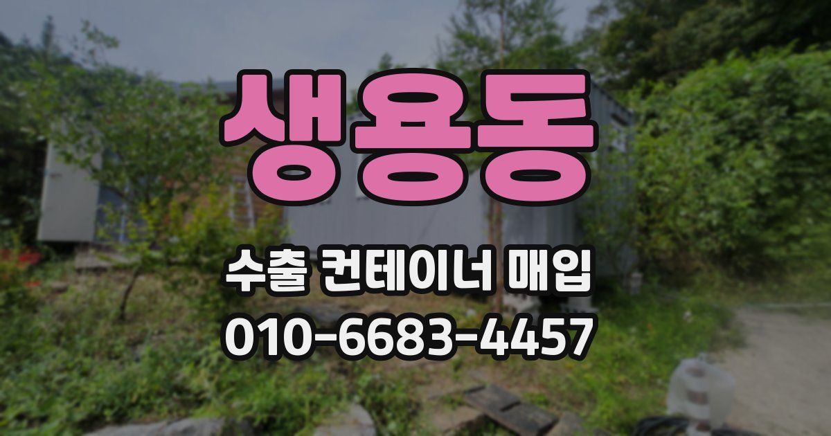 생용동 수출 컨테이너 매입