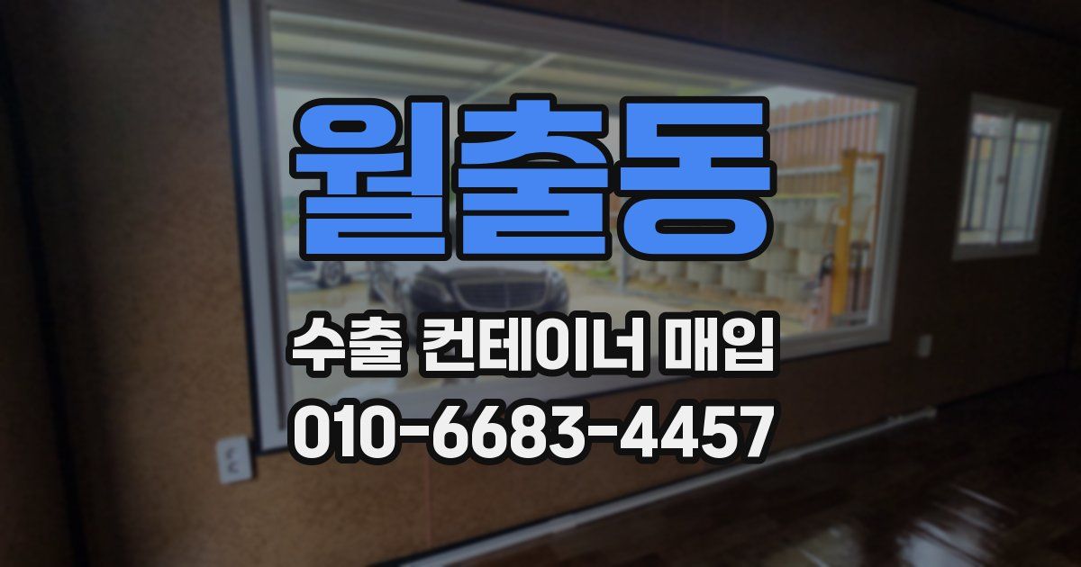 월출동 수출 컨테이너 매입