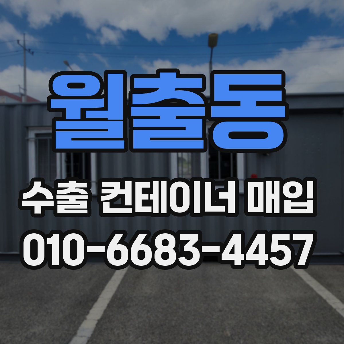 월출동 수출 컨테이너 매입