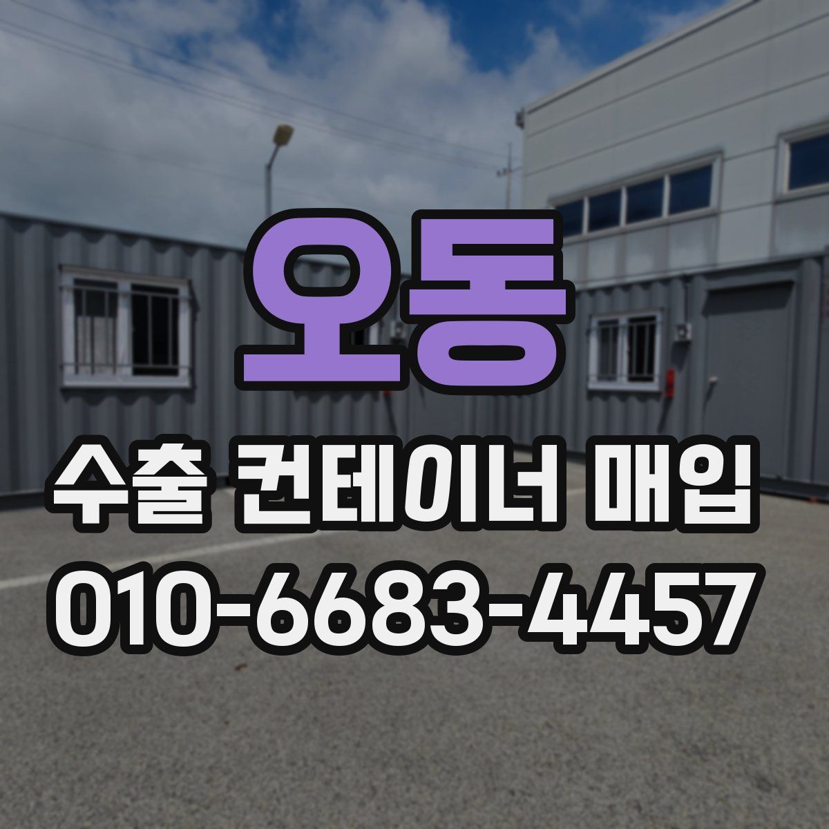 오동 수출 컨테이너 매입