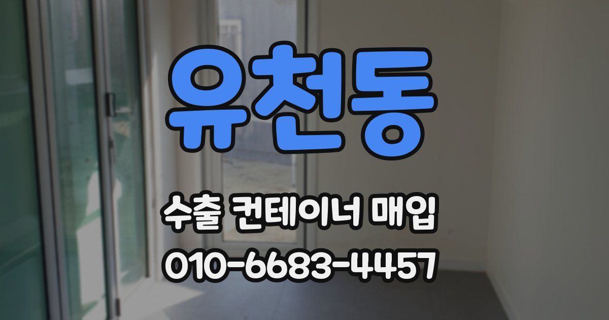 유천동 수출 컨테이너 매입