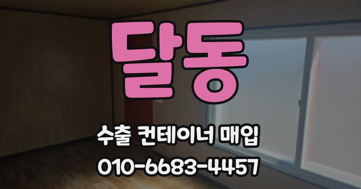 달동 수출 컨테이너 매입